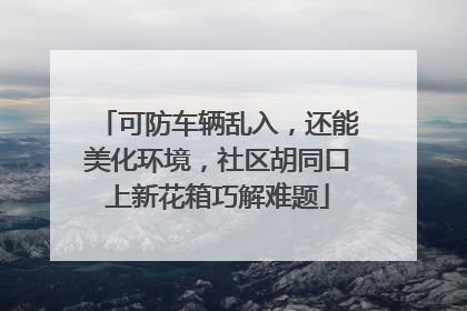 可防车辆乱入，还能美化环境，社区胡同口上新花箱巧解难题
