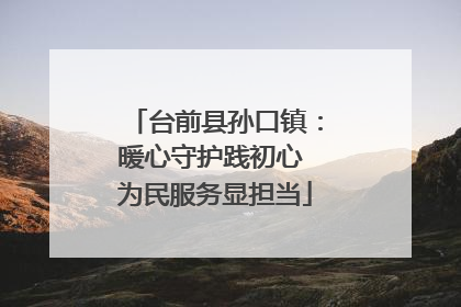 台前县孙口镇：暖心守护践初心 为民服务显担当