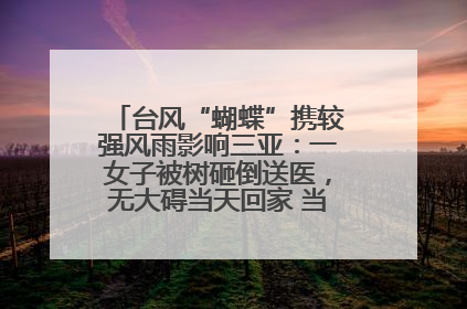 台风“蝴蝶”携较强风雨影响三亚：一女子被树砸倒送医，无大碍当天回家 当地已紧急清障