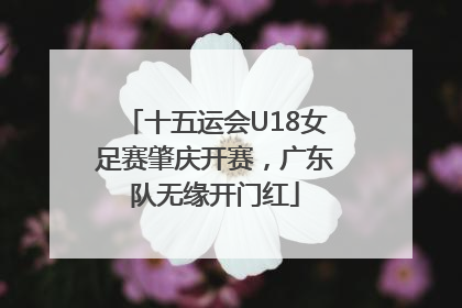 十五运会U18女足赛肇庆开赛，广东队无缘开门红