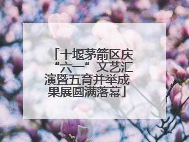 十堰茅箭区庆“六一”文艺汇演暨五育并举成果展圆满落幕