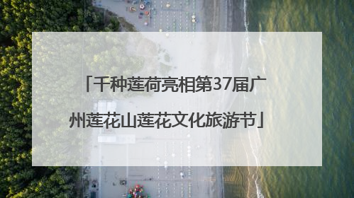 千种莲荷亮相第37届广州莲花山莲花文化旅游节