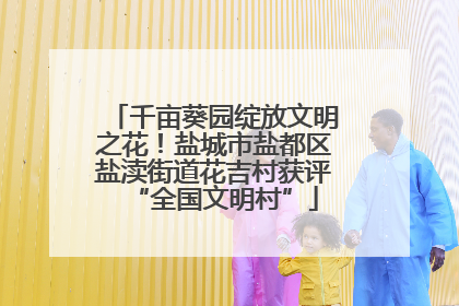 千亩葵园绽放文明之花！盐城市盐都区盐渎街道花吉村获评“全国文明村”