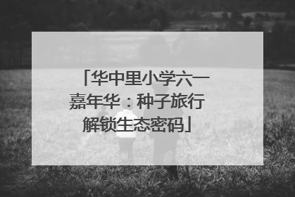 华中里小学六一嘉年华：种子旅行解锁生态密码
