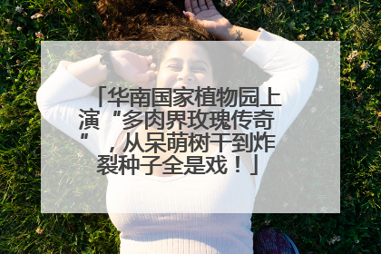 华南国家植物园上演“多肉界玫瑰传奇”，从呆萌树干到炸裂种子全是戏！