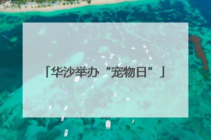 华沙举办“宠物日”