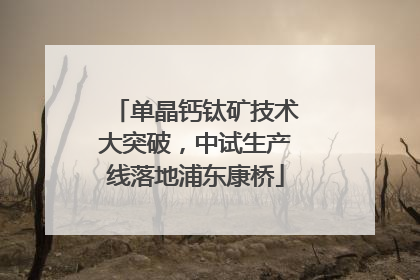 单晶钙钛矿技术大突破，中试生产线落地浦东康桥