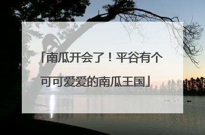 南瓜开会了！平谷有个可可爱爱的南瓜王国