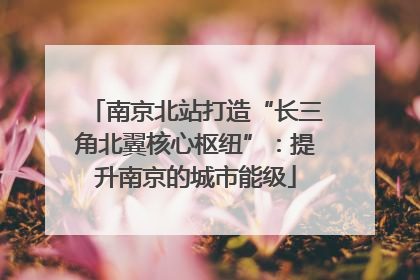 南京北站打造“长三角北翼核心枢纽”：提升南京的城市能级