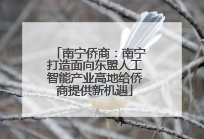 南宁侨商：南宁打造面向东盟人工智能产业高地给侨商提供新机遇