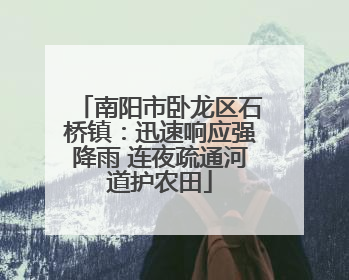 南阳市卧龙区石桥镇：迅速响应强降雨 连夜疏通河道护农田