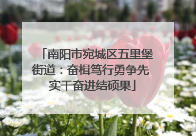 南阳市宛城区五里堡街道：奋楫笃行勇争先 实干奋进结硕果