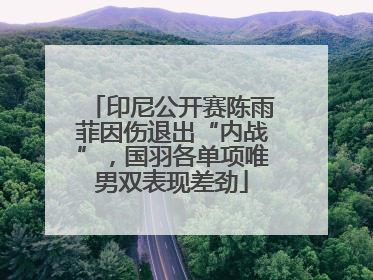 印尼公开赛陈雨菲因伤退出“内战”，国羽各单项唯男双表现差劲
