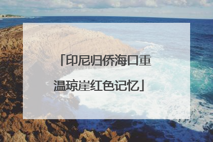 印尼归侨海口重温琼崖红色记忆
