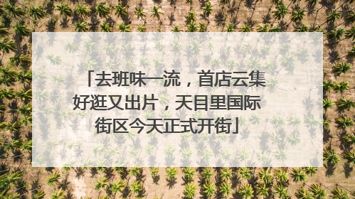 去班味一流，首店云集好逛又出片，天目里国际街区今天正式开街