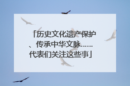 历史文化遗产保护、传承中华文脉……代表们关注这些事