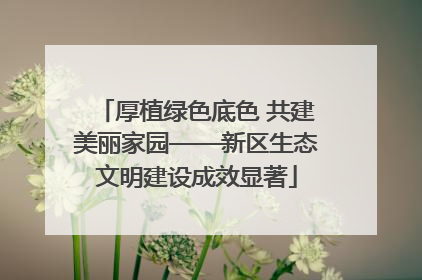 厚植绿色底色 共建美丽家园——新区生态文明建设成效显著