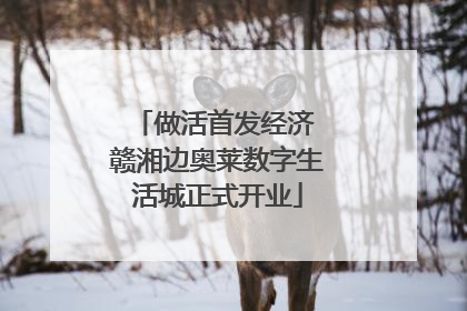 做活首发经济 赣湘边奥莱数字生活城正式开业