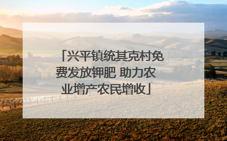 兴平镇统其克村免费发放钾肥 助力农业增产农民增收