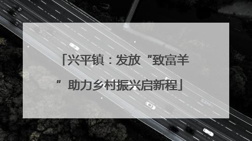 兴平镇：发放“致富羊”助力乡村振兴启新程