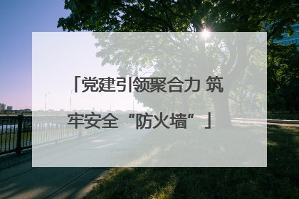 党建引领聚合力 筑牢安全“防火墙”
