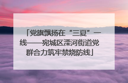 党旗飘扬在“三夏”一线——宛城区溧河街道党群合力筑牢禁烧防线