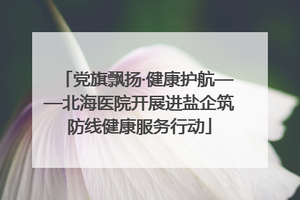 党旗飘扬·健康护航——北海医院开展进盐企筑防线健康服务行动
