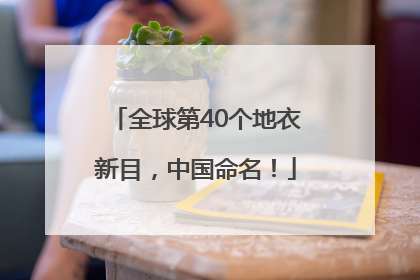 全球第40个地衣新目，中国命名！