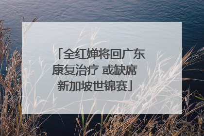 全红婵将回广东康复治疗 或缺席新加坡世锦赛