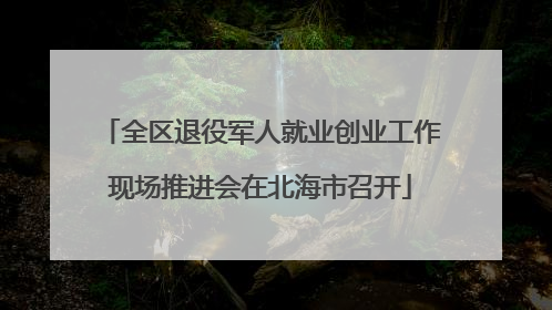 全区退役军人就业创业工作现场推进会在北海市召开