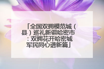 全国双拥模范城（县）巡礼新疆哈密市：双拥花开哈密城 军民同心谱新篇