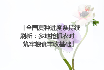 全国夏种进度条持续刷新：多地抢抓农时 筑牢粮食丰收基础
