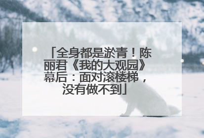 全身都是淤青！陈丽君《我的大观园》幕后：面对滚楼梯，没有做不到