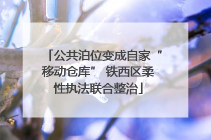 公共泊位变成自家“移动仓库” 铁西区柔性执法联合整治