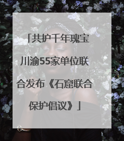共护千年瑰宝 川渝55家单位联合发布《石窟联合保护倡议》
