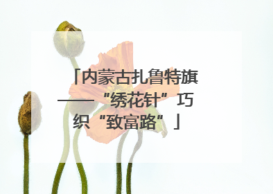 内蒙古扎鲁特旗——“绣花针”巧织“致富路”