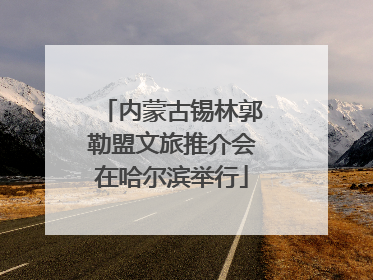 内蒙古锡林郭勒盟文旅推介会在哈尔滨举行