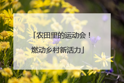农田里的运动会！燃动乡村新活力