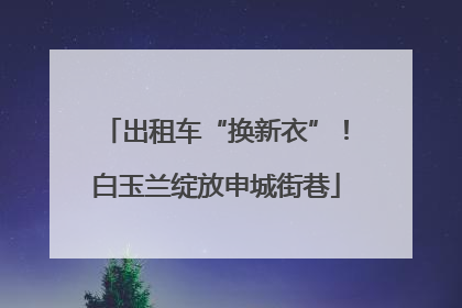 出租车“换新衣”！白玉兰绽放申城街巷
