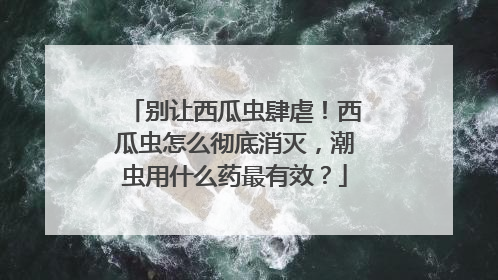 别让西瓜虫肆虐！西瓜虫怎么彻底消灭，潮虫用什么药最有效？