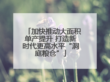 加快推动大面积单产提升 打造新时代更高水平“洞庭粮仓”