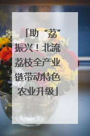 助“荔”振兴！北流荔枝全产业链带动特色农业升级