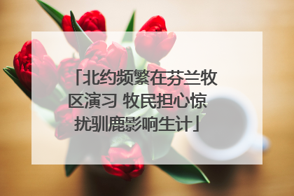 北约频繁在芬兰牧区演习 牧民担心惊扰驯鹿影响生计