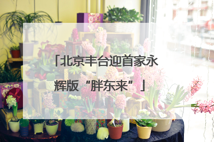 北京丰台迎首家永辉版“胖东来”