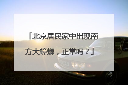 北京居民家中出现南方大蟑螂，正常吗？