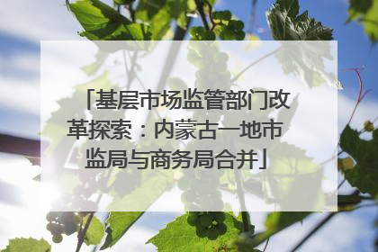 基层市场监管部门改革探索：内蒙古一地市监局与商务局合并