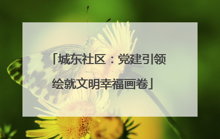 城东社区：党建引领绘就文明幸福画卷