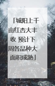 城阳上千亩红杏大丰收 预计下周各品种大面积成熟
