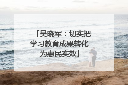吴晓军：切实把学习教育成果转化为惠民实效