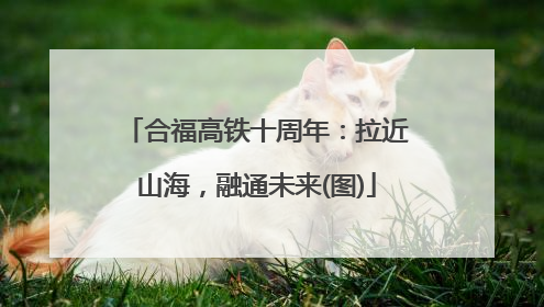 合福高铁十周年：拉近山海，融通未来(图)
